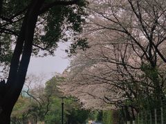 -昆山城市公园