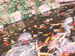 -龙达温泉生态城