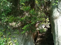 -金鸡山公园