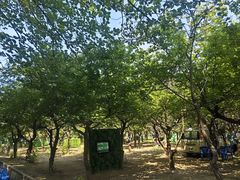 -亲兄弟真人CS团建拓展基地