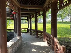 -飞来湖湿地公园