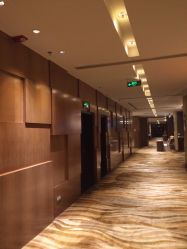 -上海绿地万豪酒店·大宴会厅