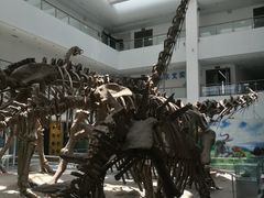 -中国地质大学逸夫博物馆