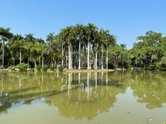 -中国科学院西双版纳热带植物园