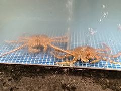 -东海怡品海鲜豆捞(星街坊店)