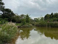 -福田红树林生态公园