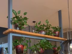 -比格比萨自助(国展店)