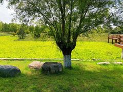 -汉长安城未央宫国家考古遗址公园