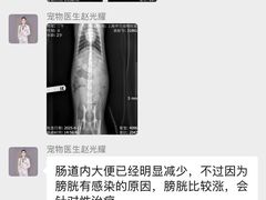 -瑞派申生动物医院·24H夜诊·国际动物医疗中心·骨外科(吴中路店)