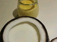 -志龙皇冠吃货椰子铺