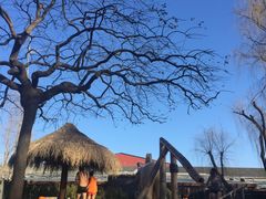 -南宫温泉水世界