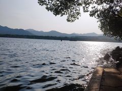 -西湖外事游船(花港观鱼码头)