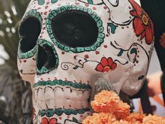 -墨纪Mojí墨西哥餐厅(官舍店)