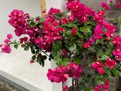 -清真·穆萨砂锅(大皮院店)