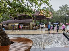 -南戴河国际娱乐中心