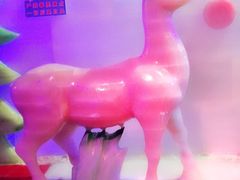 -珠海海泉湾神秘岛亲子乐园