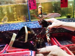 -巽寮印象美食部落餐厅·海鲜·地方特色菜(惠州体验店)