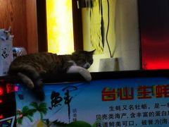 -佛山市禅城区登珑阁餐厅(文华新天地店)