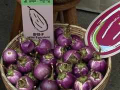 -gaga(深圳福田星河COCO Park店)