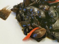 -骏莱海鲜鱼港(五角场店)
