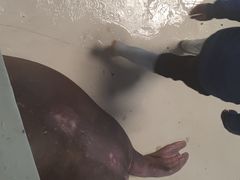 -泉城欧乐堡海洋极地世界