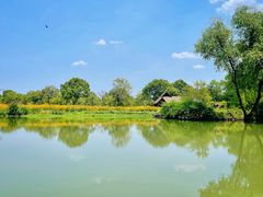 -西溪国家湿地公园