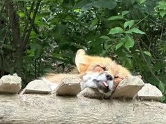 -宁波野生动物园