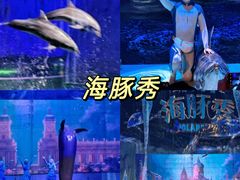 -哈尔滨极地公园