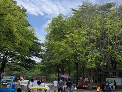 -广东茂名森林公园