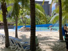 -亚马逊丛林水乐园