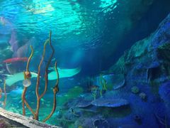 -沈阳海洋探索中心