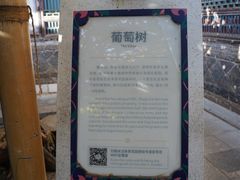 -朱家花园
