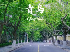 -八大关景区