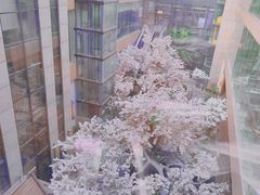 -嘉悦汗蒸时代(曙光路店)