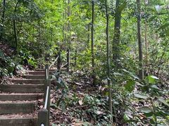 -武吉知马自然保护区