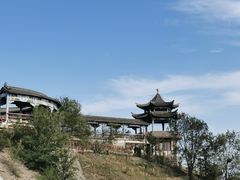 -大青山野生动物园