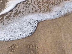 -白城沙滩