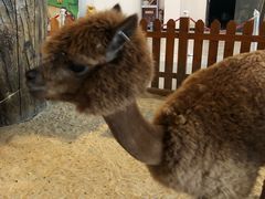 -华夏文旅西安度假区