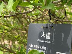 -国家植物园
