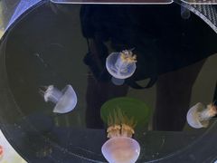 -凯德广场(武胜路店)