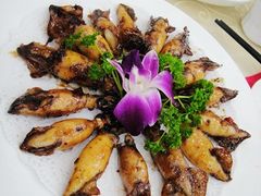 美极比管鱼&nbsp;29元-海岛渔村大酒店(云霄路店)