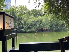 -侨美·唐荔园·40年地道粤菜