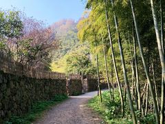-莫干山风景区