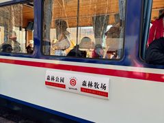 -莫尔道嘎国家森林公园