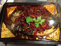 -探鱼·鲜青椒爽麻烤鱼(广州花都来又来店)