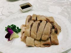 白切马冈鹅-鹅城