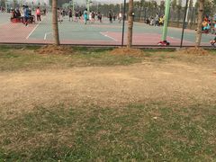 -安徽大学(磬苑校区)