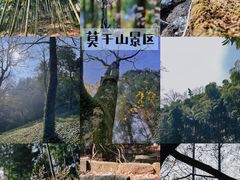 -莫干山风景区