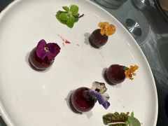 -唐猫庭院·千年陕菜(大唐不夜城店)