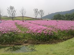 -可莎蜜兒(登云路店)